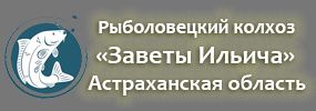 Рыболовецкий колхоз «Заветы Ильича» Астраханская область