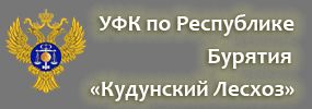 УФК «Кудунский Лесхоз»