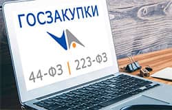 Госзакупки по 44-ФЗ и 223-ФЗ